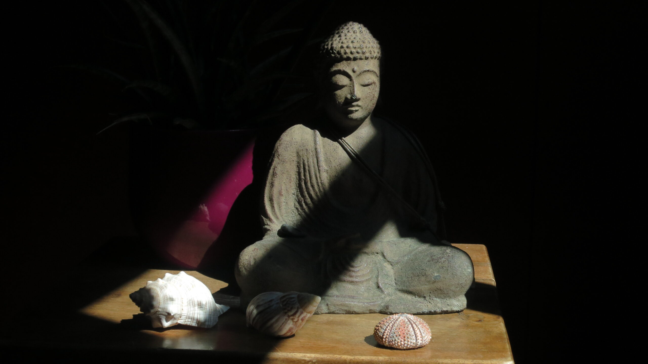 Workshop Samstag                       26 November 16